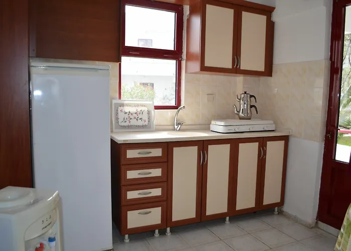 Zeytin Aquapark 3* Ayvalı